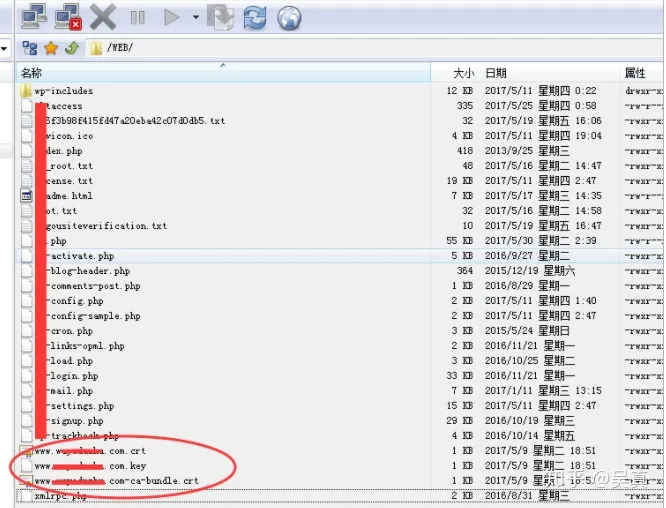 虚拟主机搭建的网站如何安装SSL证书